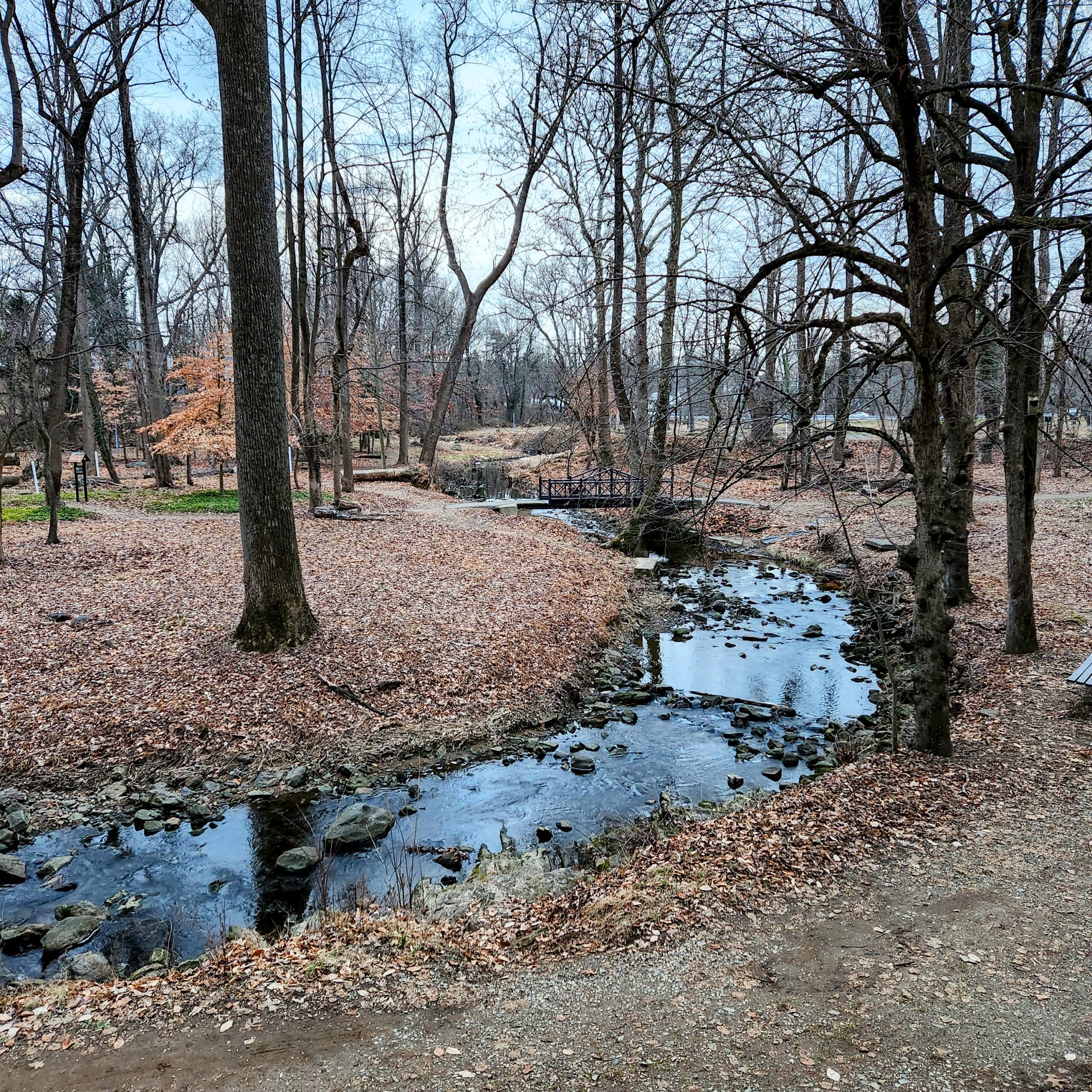 Reflecting on the Past at Brandywine Springs Park