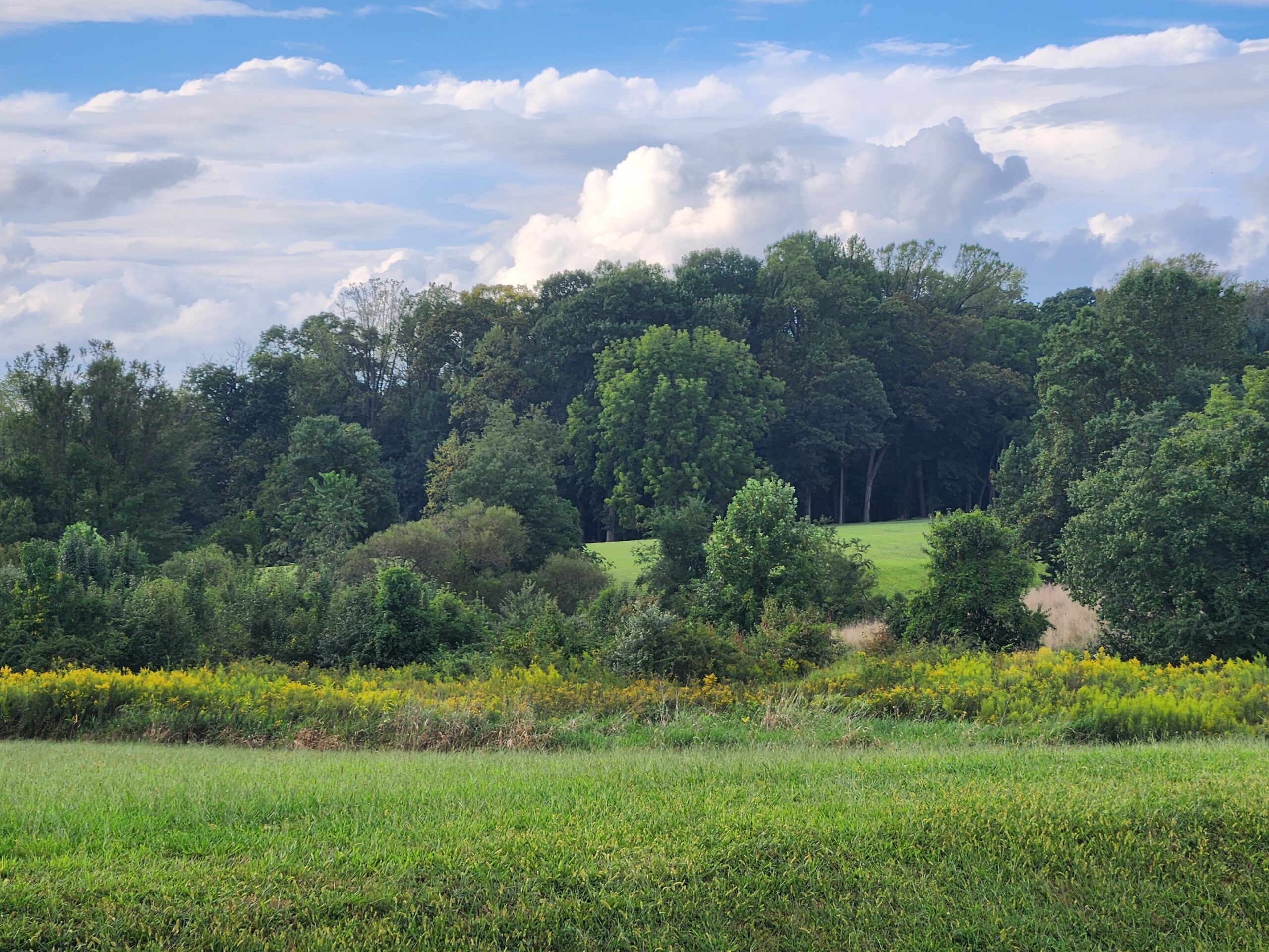 Is White Clay Creek State Park the Most Beautiful Park in Delaware?