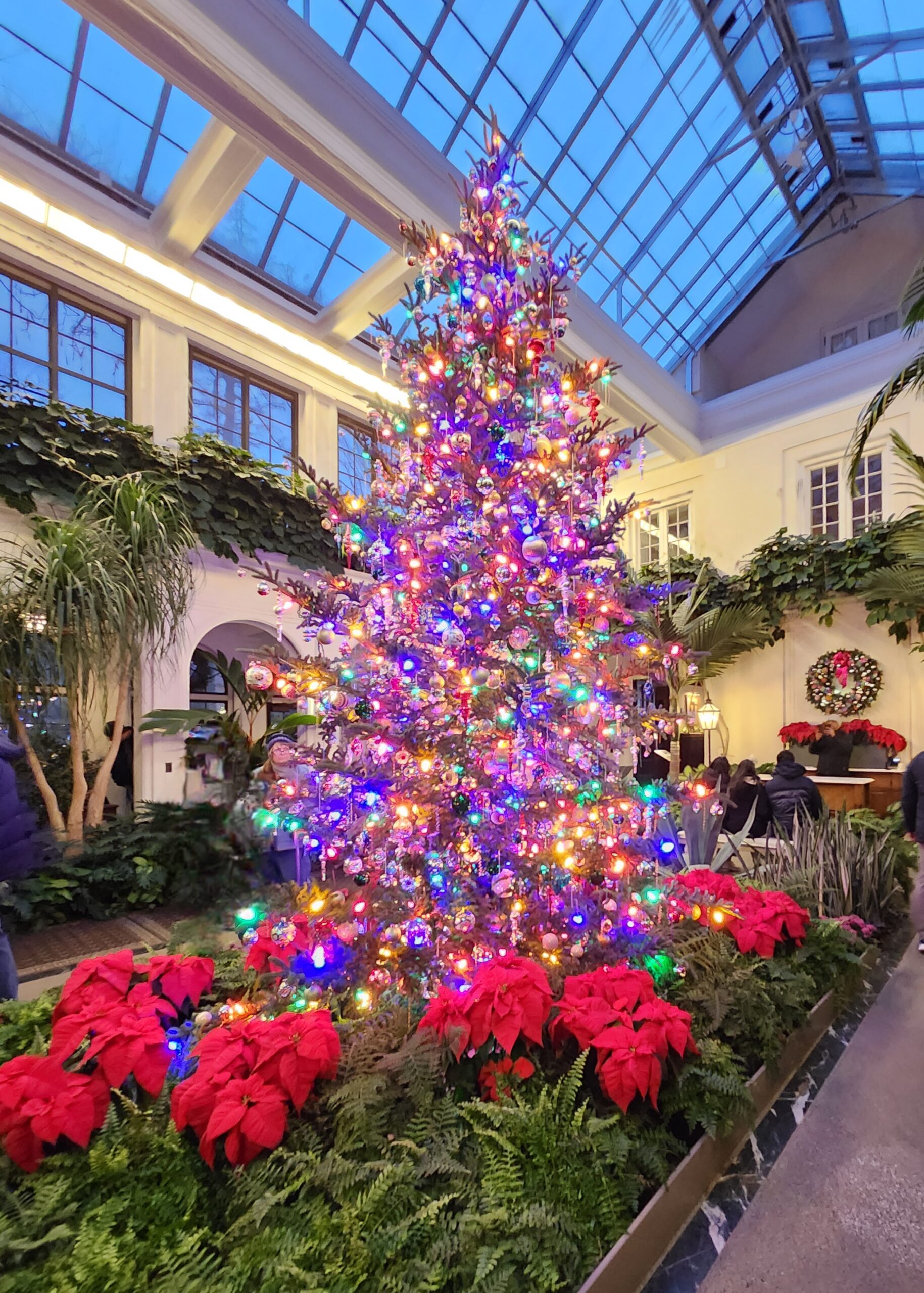 5 Places to Get Festive in the US Mid-Atlantic Region