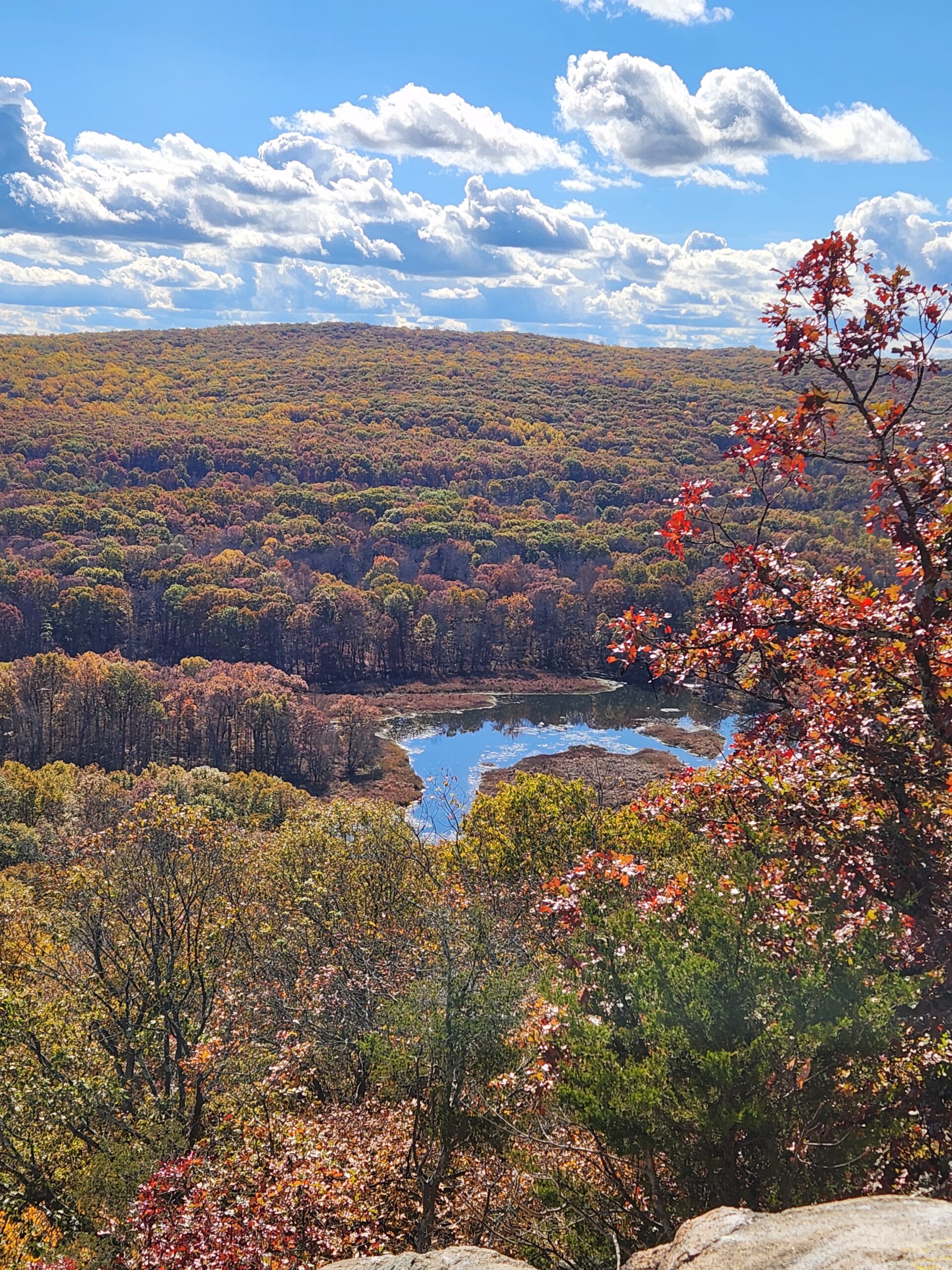 The Best Places to See Fall Foliage in Northern New Jersey - Big Family ...